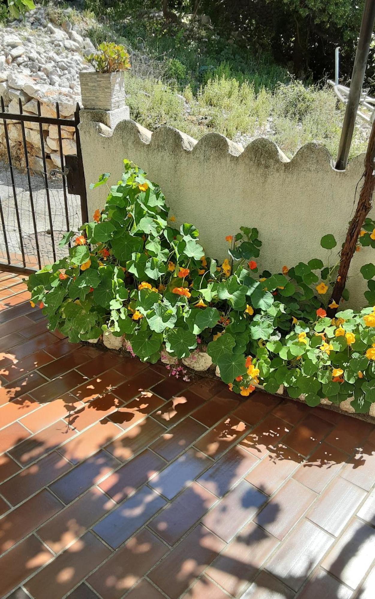 Apartman Legac Stari Grad Extérieur photo