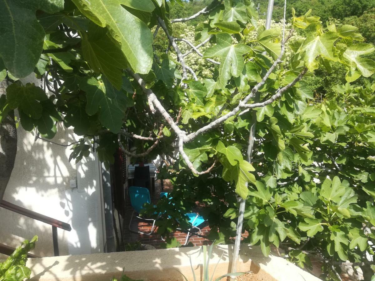 Apartman Legac Stari Grad Extérieur photo