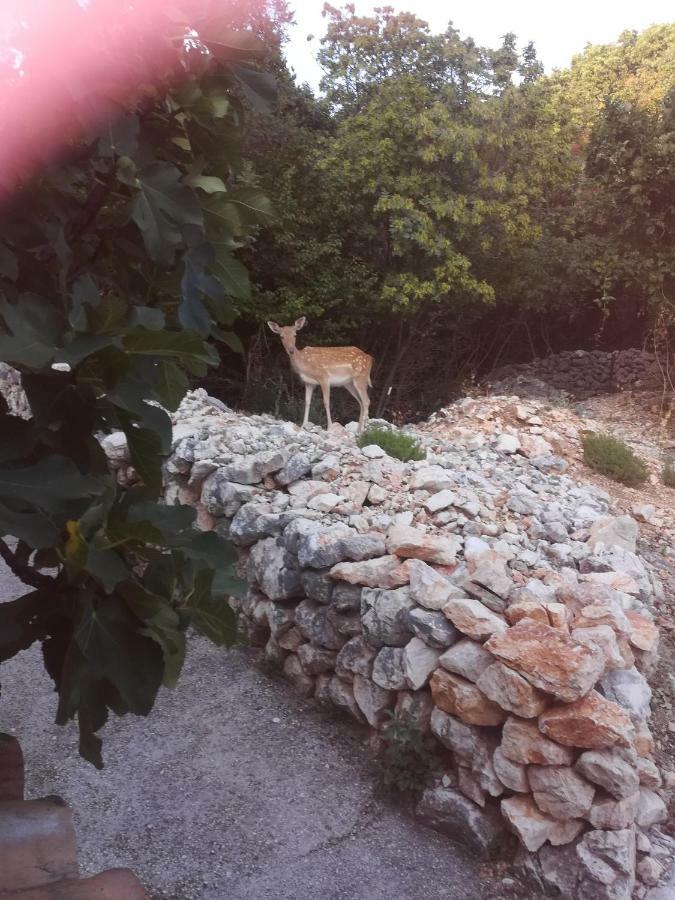 Apartman Legac Stari Grad Extérieur photo